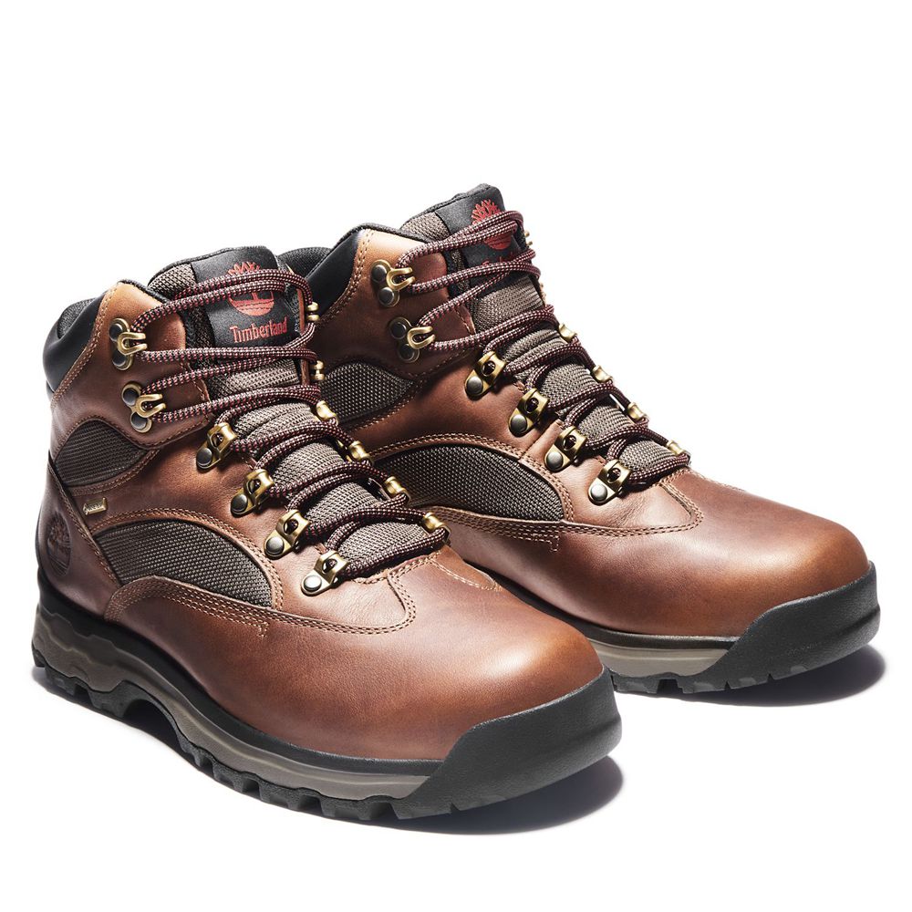 Bocanci De Drumeție Timberland Barbati Maro - Chocorua Trail 2.0 Waterproof - Romania - ZXWQRC935